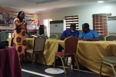 Enhancing Salience and Capacity of Lagos SHoa to Catalyze Nigeria Project toward UHC