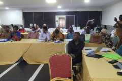 Enhancing-Salience-and-Capacity-of-Lagos-SHoa-to-Catalyze-Nigeria-Project-toward-UHC-15