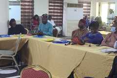 Enhancing-Salience-and-Capacity-of-Lagos-SHoa-to-Catalyze-Nigeria-Project-toward-UHC-16