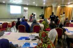 Day-2-CSOs_Media-engagement-by-LISDEL