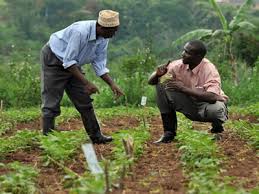 Agric extension agents commend Nigerian government for training, appeal for sustainability