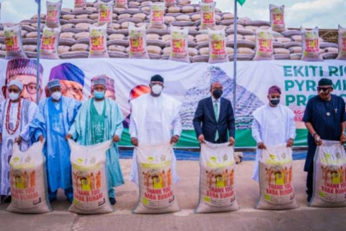 Governor Fayemi: Ekiti to create 12,000 to 50,000 jobs through CBN-ABP rice farming