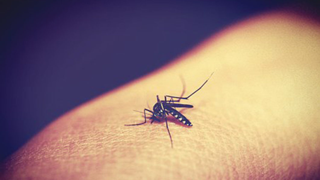 Experts reel out measures to achieve zero malaria in Nigeria