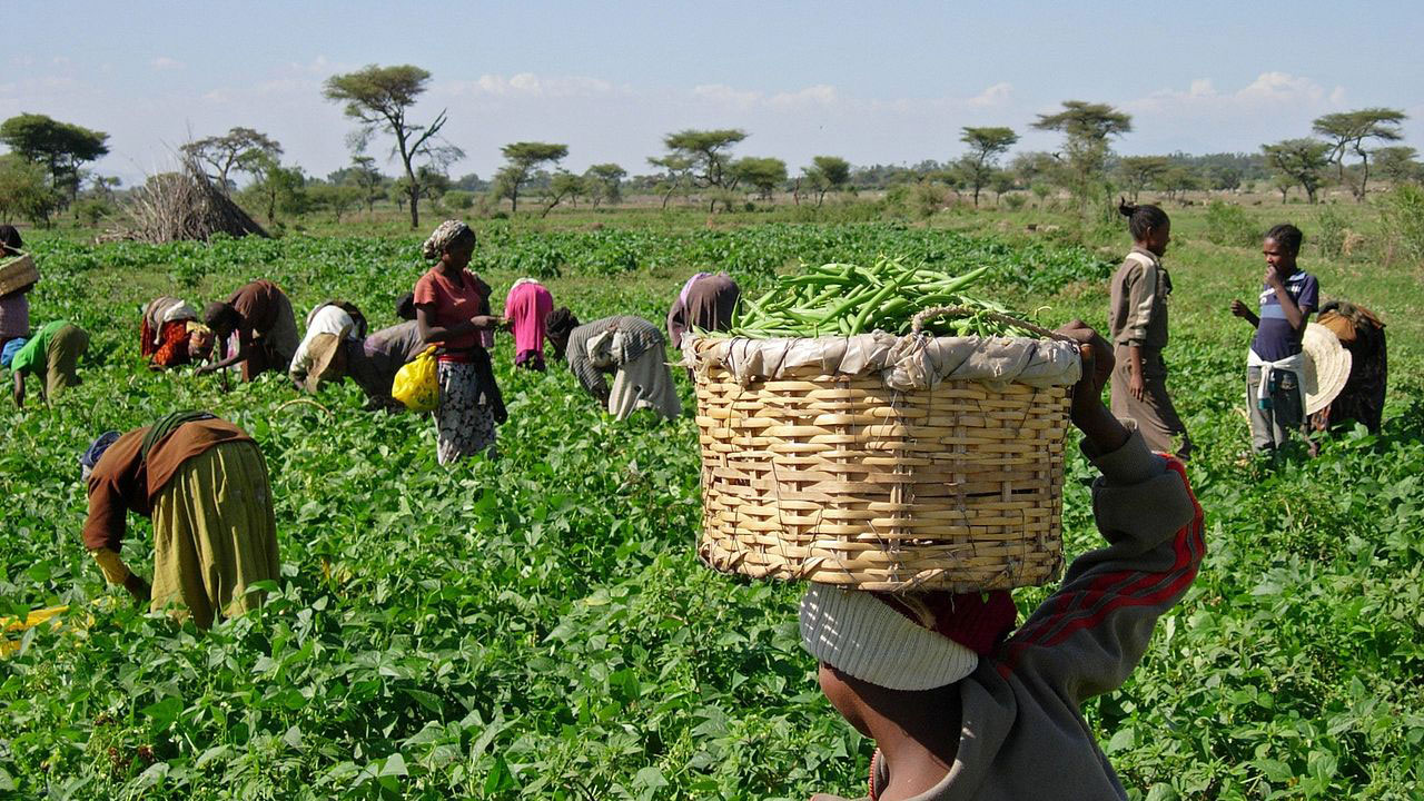 Farmer says irregular rainfall may affect food production