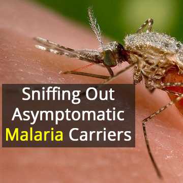 Children with asymptomatic malaria a ‘hidden risk’ to disease control efforts