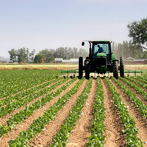 Review agric policies to avert famine, don tells FG