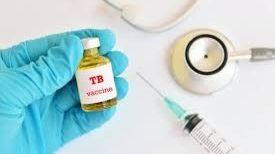 Researchers develop novel strategy for tuberculosis vaccine