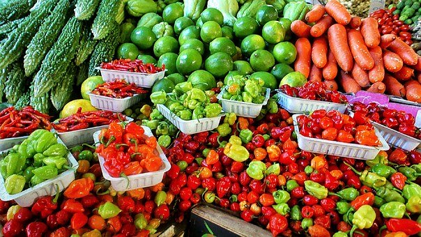 Expert advocates promotion of organic agriculture