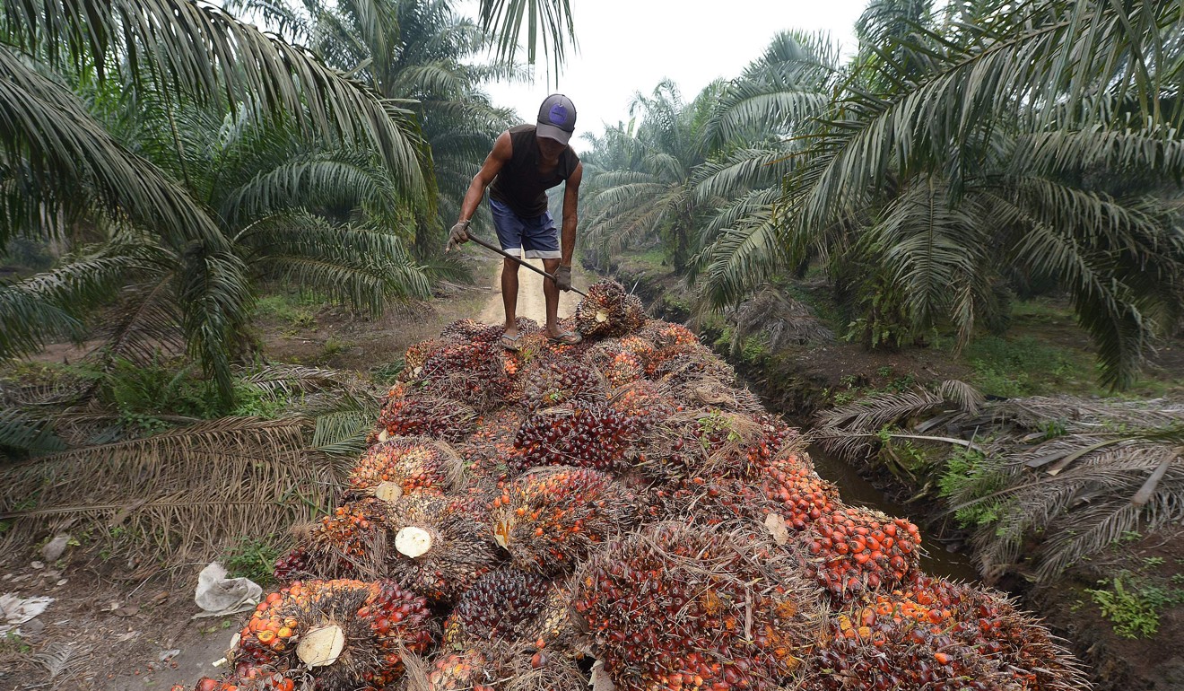 Edo attracts $531.2 million oil palm investment in nine months