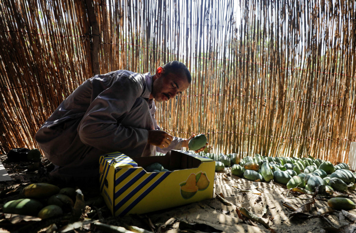 Climate change caused by wealthy nations creates harm for poorer, study says