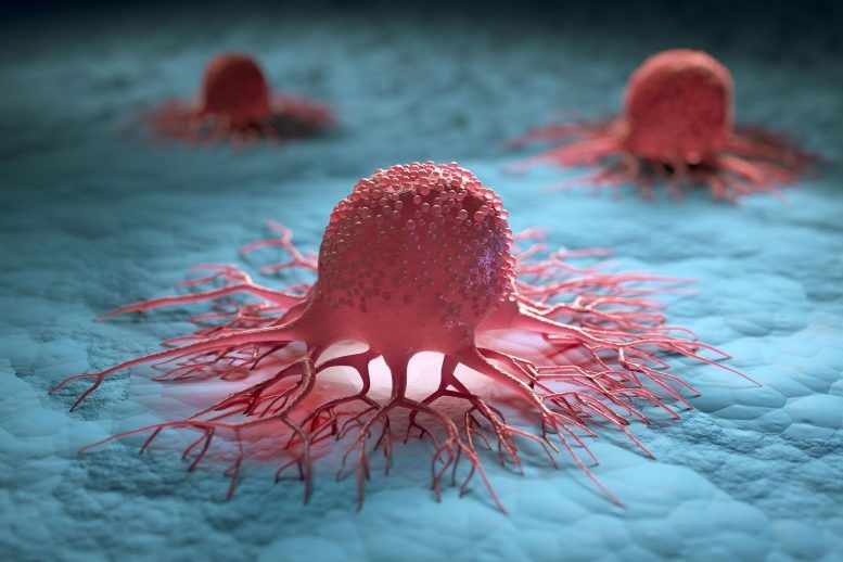 Stanford-Developed “Decoy Molecules” Can Halt the Spread of Cancer