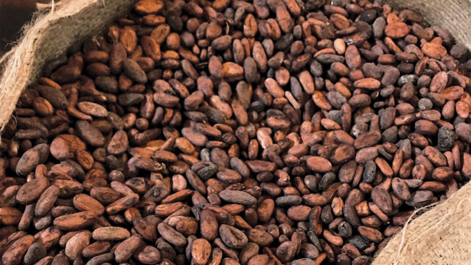 FG inaugurates National Cocoa Management Committee