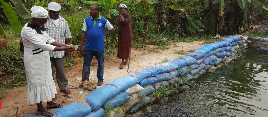 Selected Ogun Women Empowered On Fish Farming Value Addition