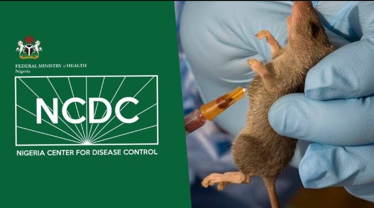 Lassa Fever: Nigeria Records Six New Cases, One Death In One Week