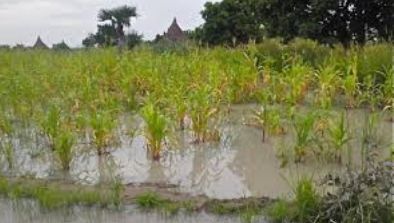 FG trains Rivers farmers on smart agricultural practices against flooding