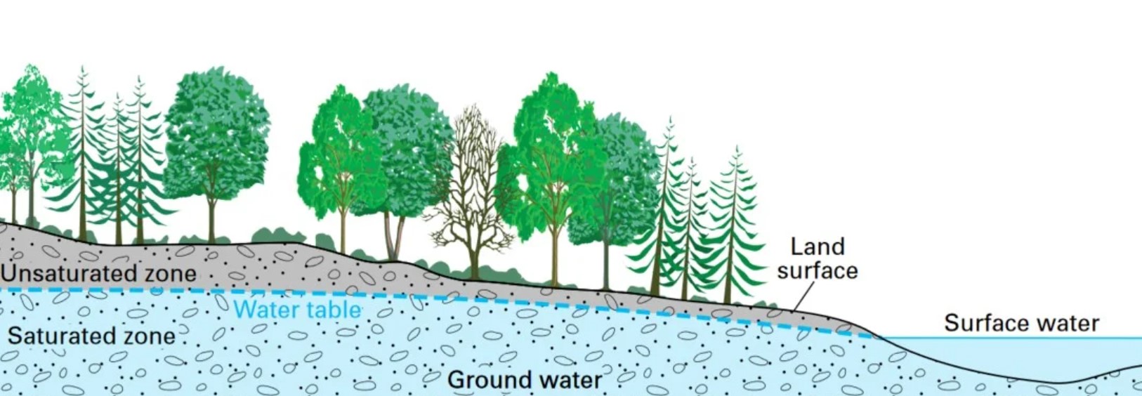 We’ve pumped so much groundwater that we’ve nudged Earth’s spin