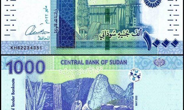 Sudan introduces new banknotes to revive war-torn economy