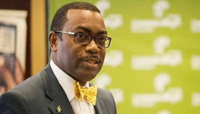 AfDB approves $650m yearly funding for Nigeria’s economy