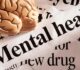 Nigeria launches first national mental health directory to improve access to care